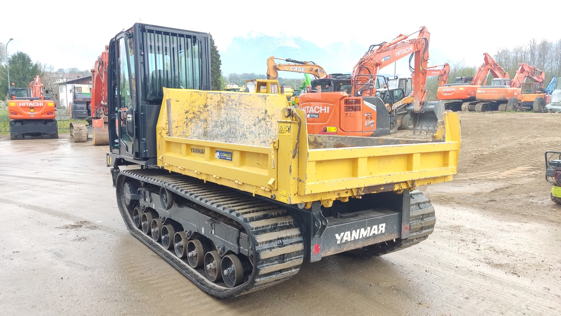 Dumper cingolato YANMAR C 50 R-5A - Franco Clò Macchine Movimento Terra